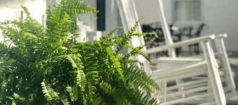 Providence Manor House Bed & Breakfast