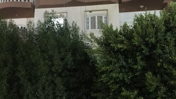 Detalle exterior