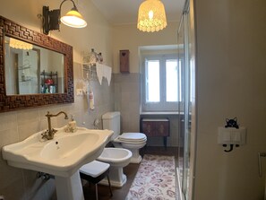 Shower, hair dryer, bidet, towels