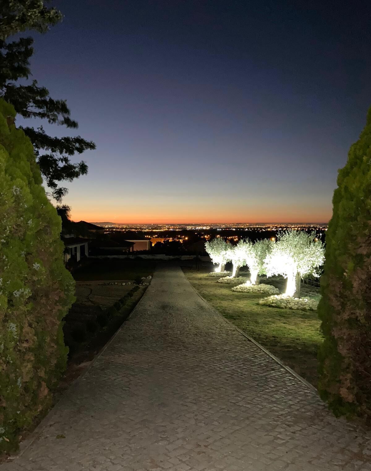 Áreas de la propiedad