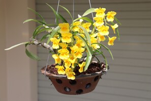 Front of property - Phuc Da Lat Hotel (Da Lat)