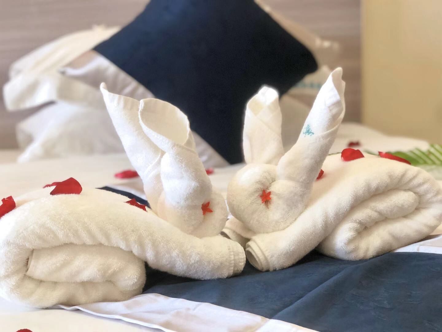 Foto - City Comfort Hotel Phnom Penh Airport