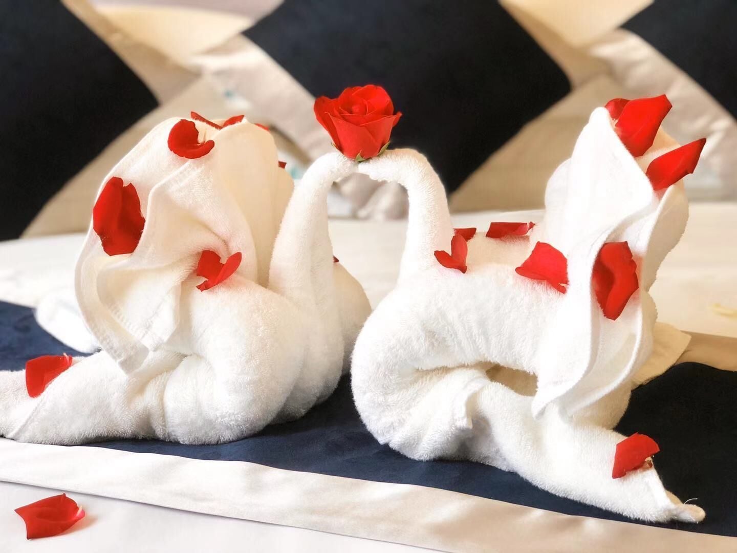 Foto - City Comfort Hotel Phnom Penh Airport