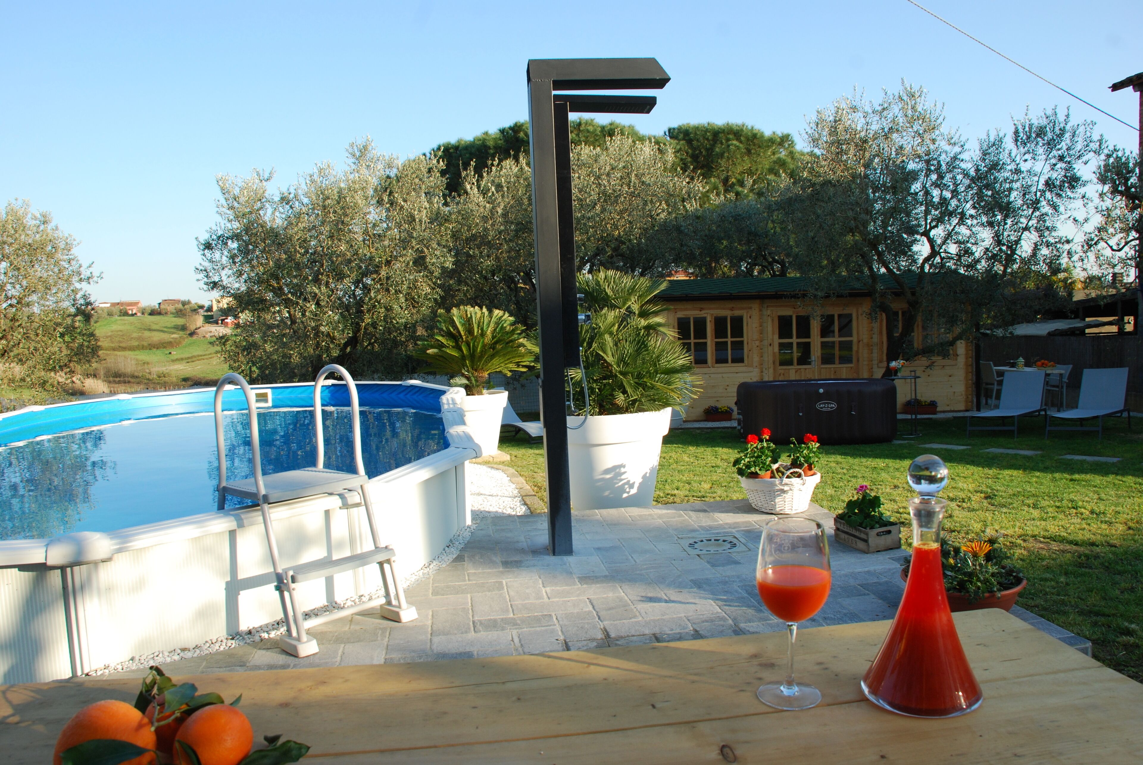 A swimming pool with a ladder, potted plants, and a table with a glass of red drink.