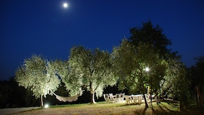 An outdoor seating area with tables and chairs under trees, illuminated by a single light source. - Vacation home with swimming pool and hot tub relaxation and tranquility (Lamporecchio)