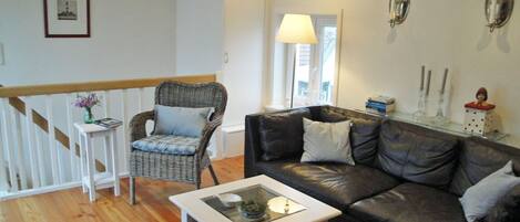 TV, DVD player, books, music library