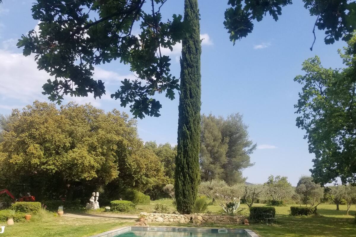 A rectangular swimming pool with a stone border, surrounded by a well-maintained lawn and various trees.