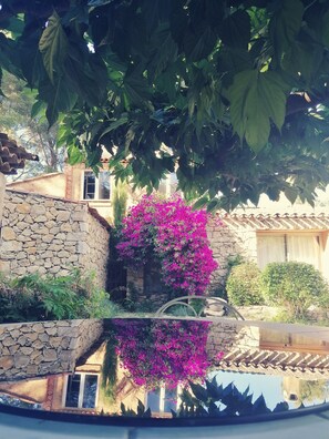 Framhlið gististaðar