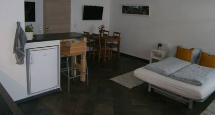 Wohnen im ehemaligen Kaminstudio