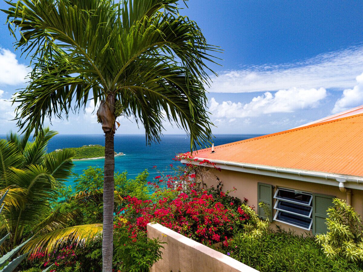 View from our private driveway next to the house.