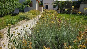 A house with a garden path leading to a building with a balcony. - Traditional holiday house in peaceful location, village Rakalj (Rakalj)