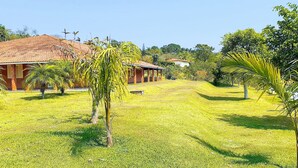 A grassy area with palm trees and a building with a red roof.