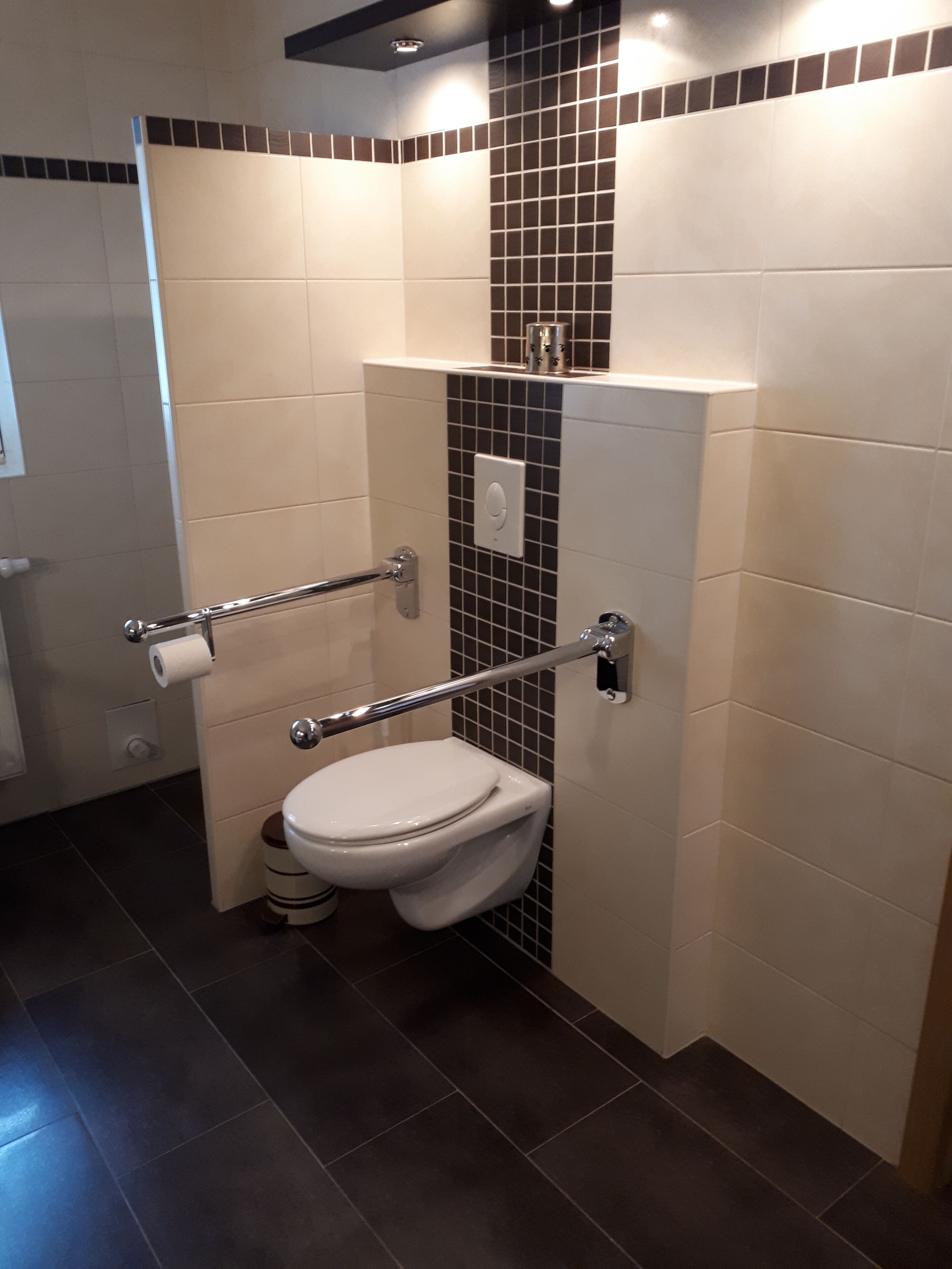 Ein modernes Badezimmer mit Toilette, Handläufe und einer gefliesten Wand.