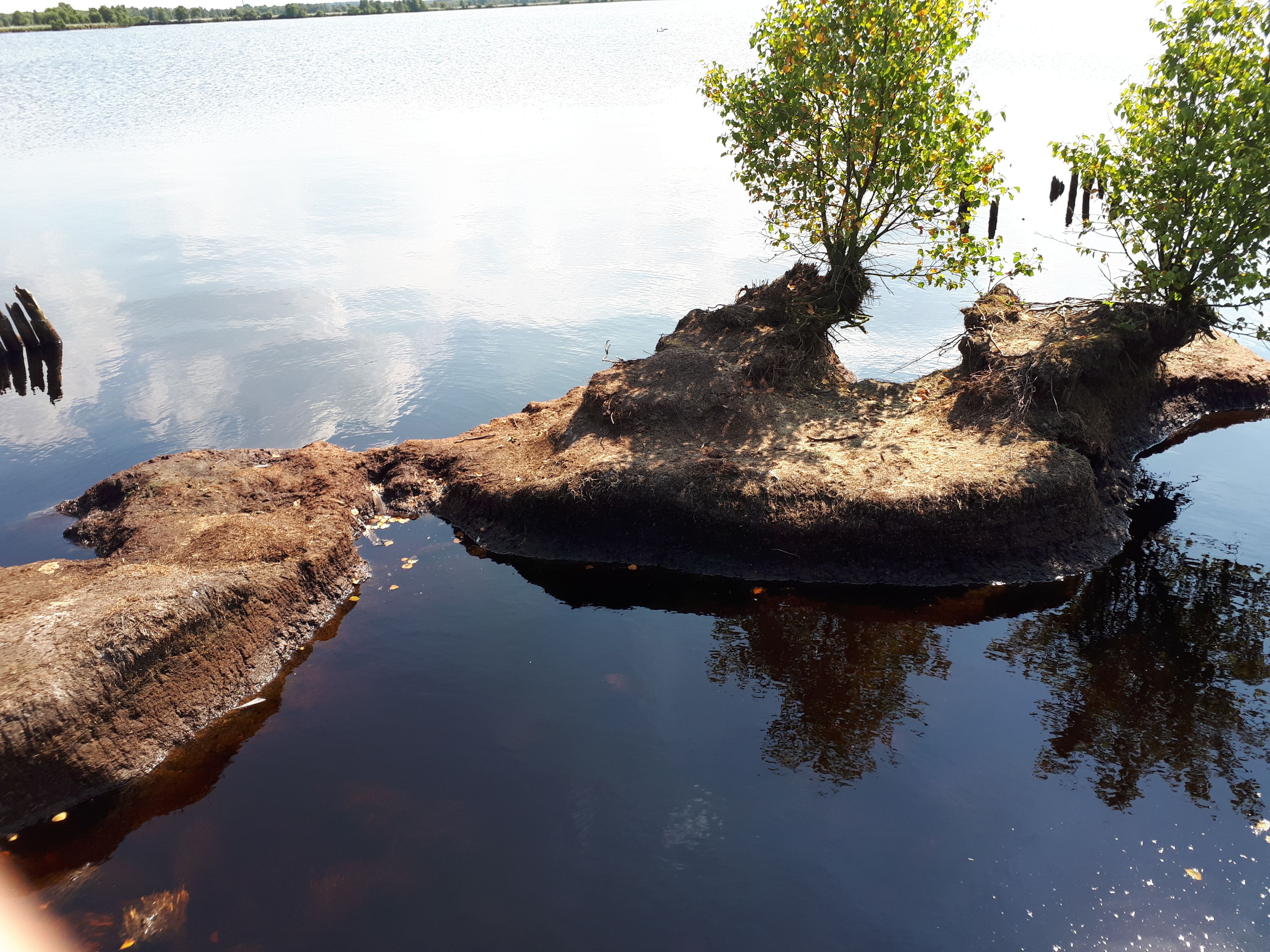 A calm lake with a small island featuring a tree and a nest.