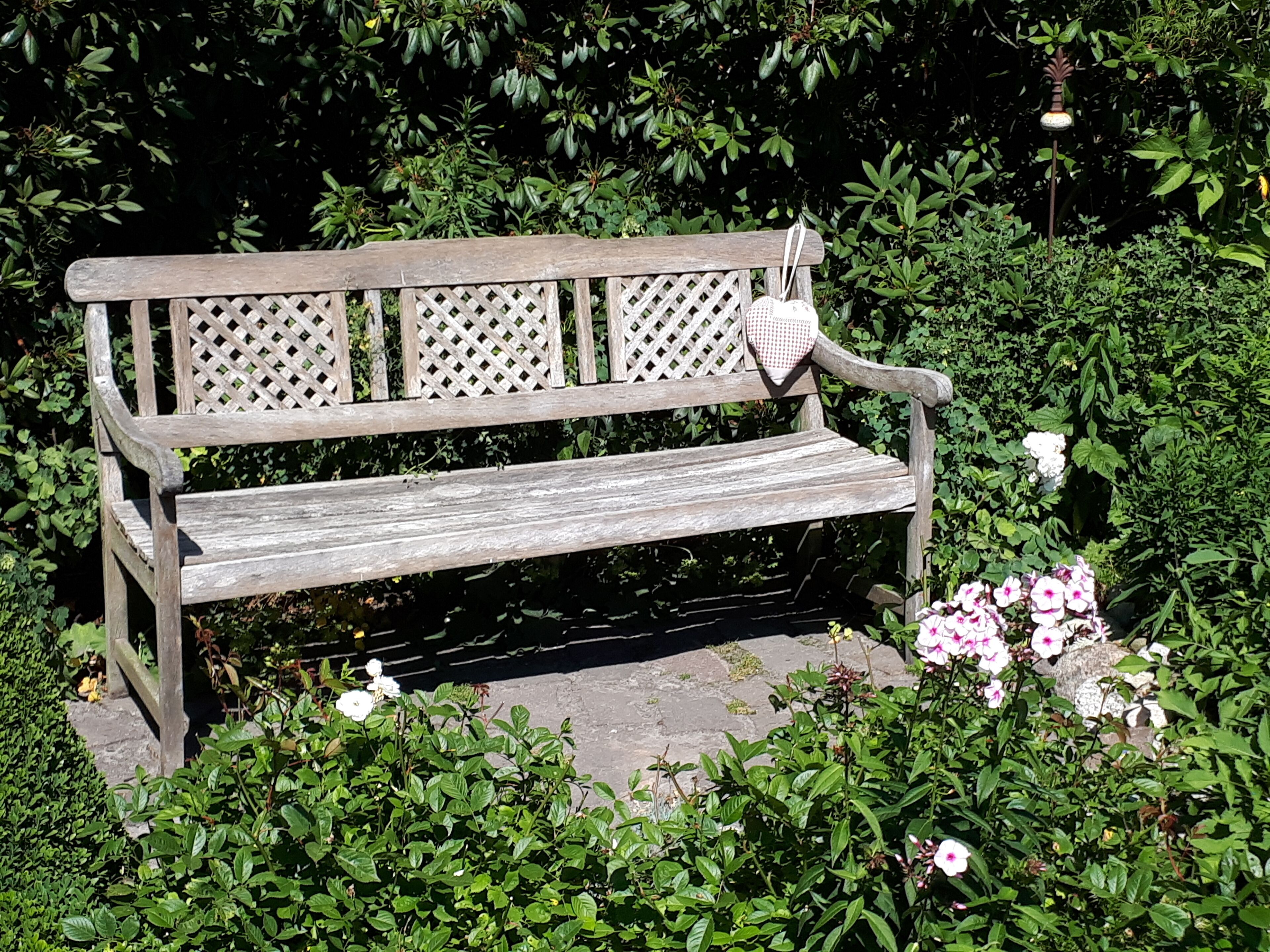 A wooden bench in a garden with dense foliage and flowers.