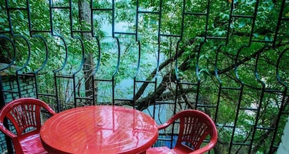 Golden Globus Hostel