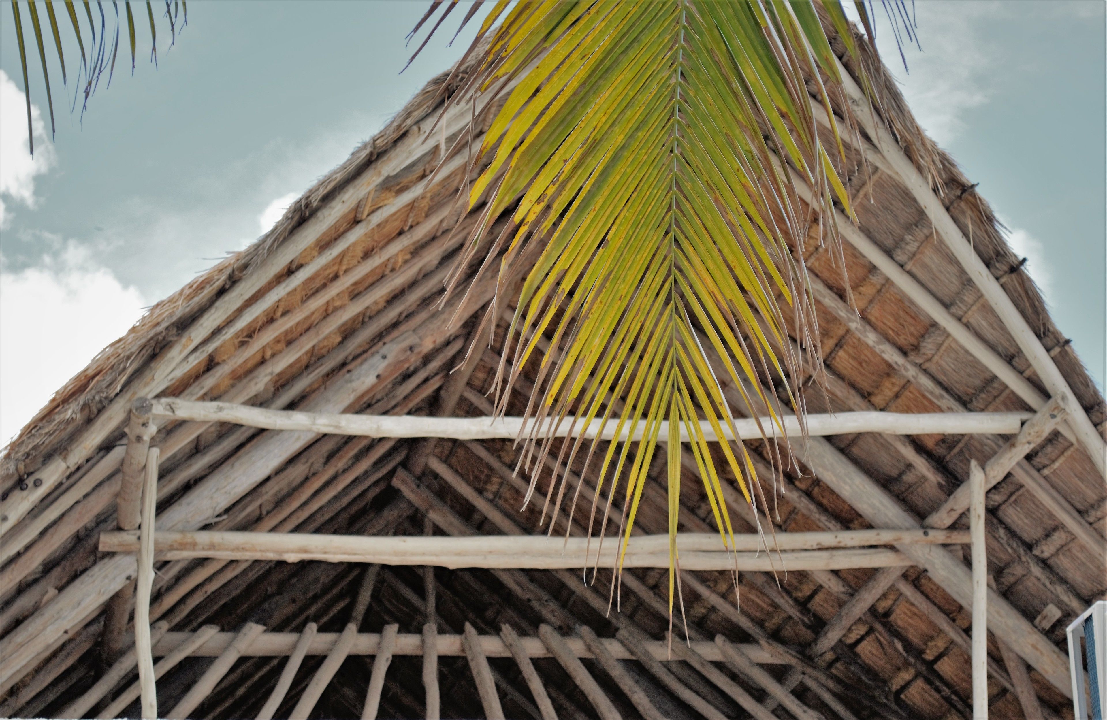 Foto - Blue Magic Hostel