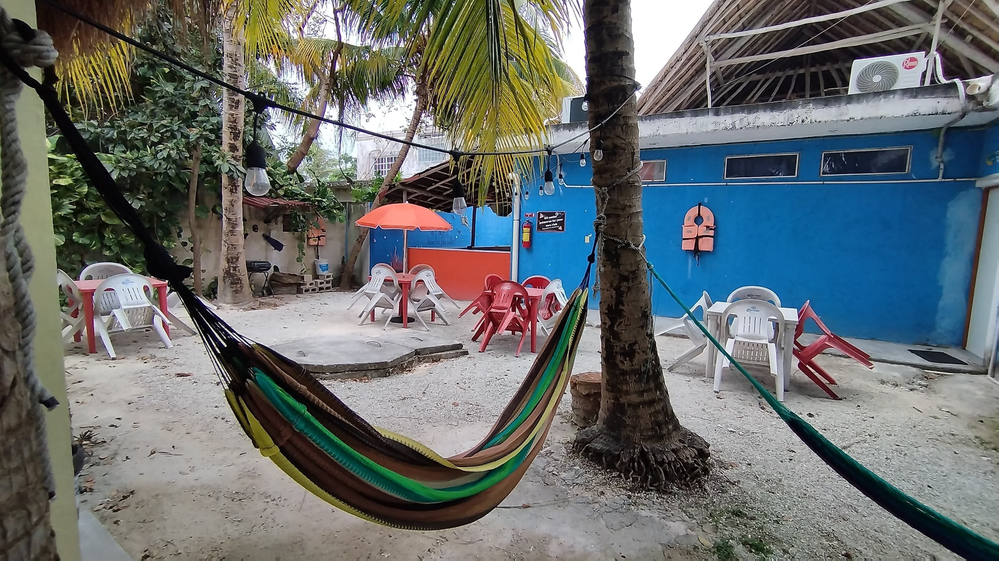 Foto - Blue Magic Hostel