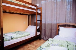 Iron/ironing board, free WiFi, bed sheets