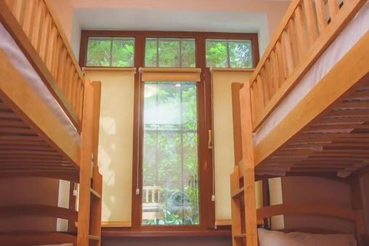 Habitación con literas, una escalera de madera, una ventana con vistas a la vegetación y una lámpara en el techo.