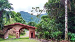 Jardín