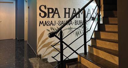 Hotel Lidya