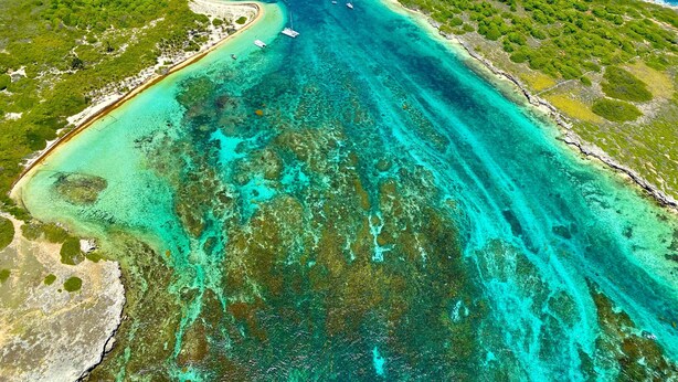An aerial view of a coastal area with clear turquoise waters, sandy beaches, and lush green vegetation. - Between luxury and authenticity.  Beautiful sea view property, 100m from the beach. (Deshaies)