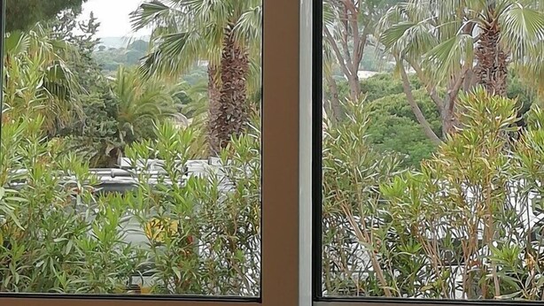 A window with a view of a lush garden with various plants and trees. - BEAUTIFUL 2 BEDROOM APARTMENT WITH TERRACE 50 M BEACH WIFI (CAVALAIRE sur mer)