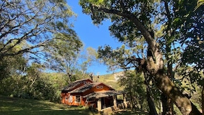 Un chalet rustique aux murs en bois, entouré d’une végétation luxuriante et d’arbres.