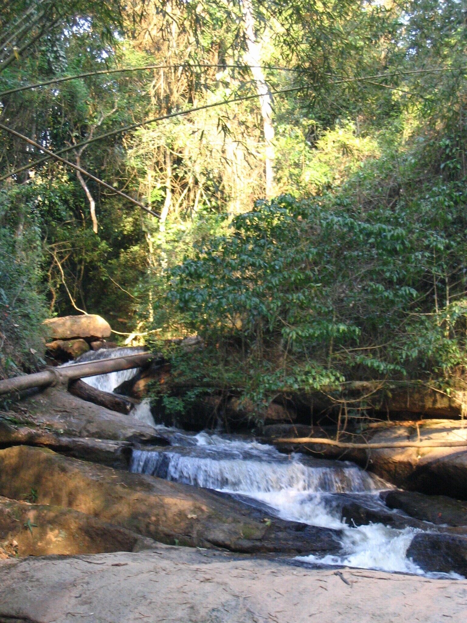 Área da propriedade