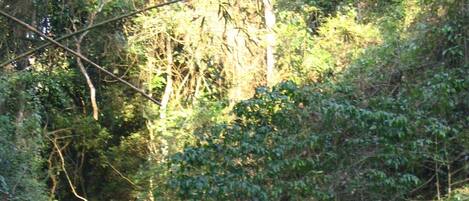 Terrain de lâhĂ©bergement