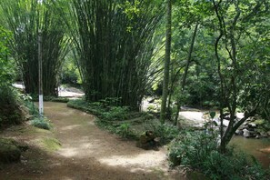 Terrain de l’hébergement 