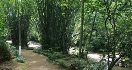 Sítio Blue Butterfly - Paradise in the Serra da Cantareira