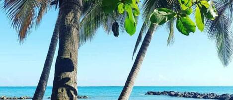 Playa en los alrededores