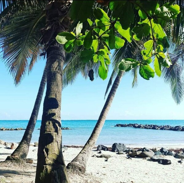 Beach nearby