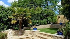 Ein angelegter Garten mit einer Palme, Steinstufen und einem Holzzaun.