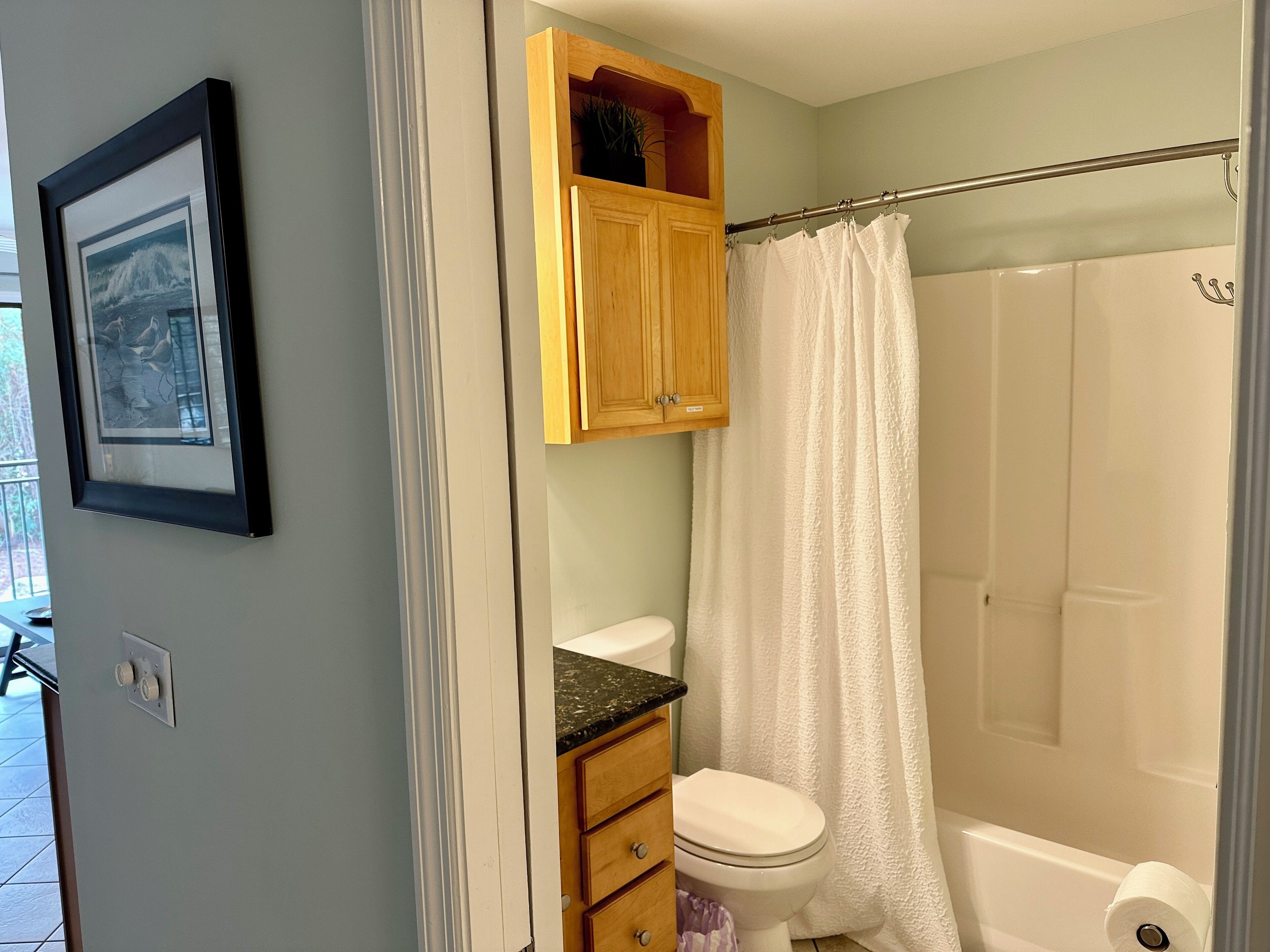 Een badkamer met toilet, houten kastje, douchegordijn en een ingelijst kunstwerk aan de muur.