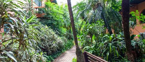 A pathway flanked by lush greenery and a bench, leading to a building with arched windows.