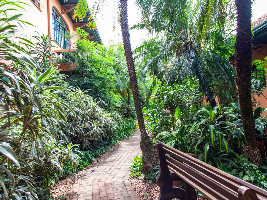 Un camino bordeado por vegetación exuberante y un banco, que lleva a un edificio con ventanas arqueadas.