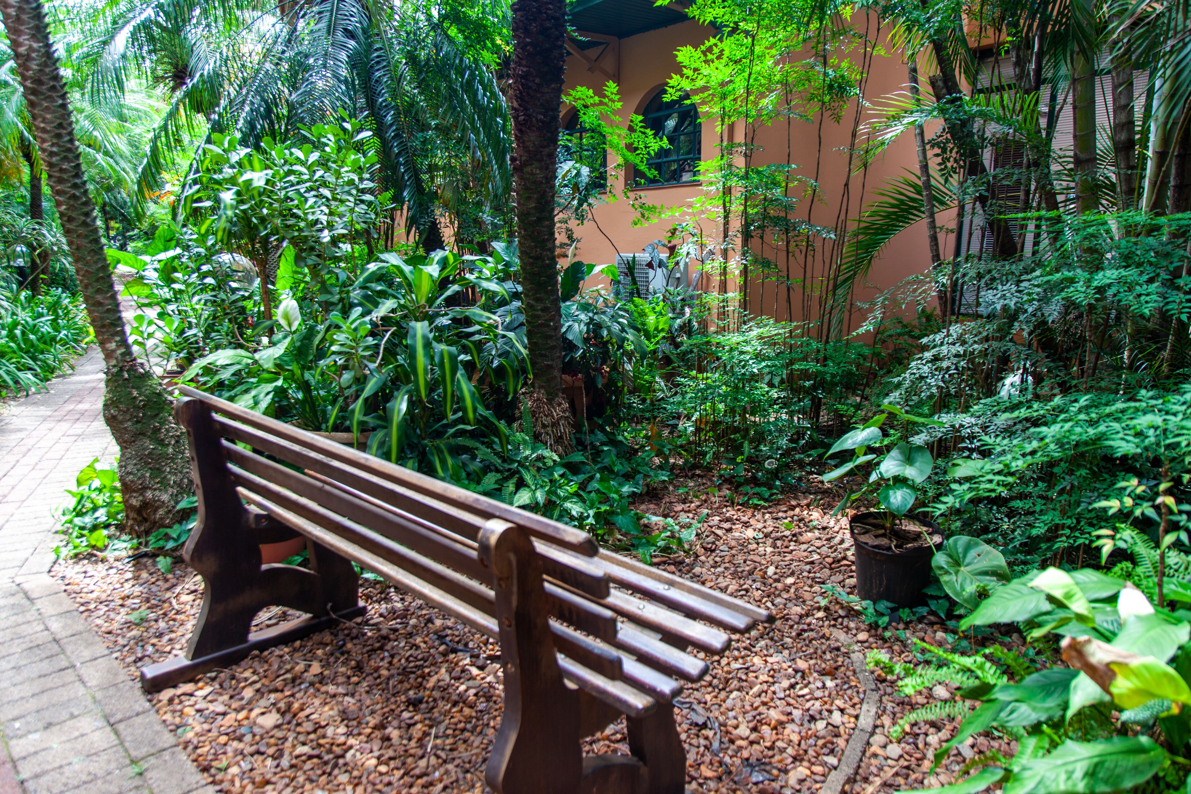 A wooden bench in a lush garden with a pathway and dense foliage.