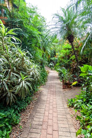 A paved pathway surrounded by lush greenery and various plants. - Vila Verde Hotel (Toledo)