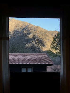 Uitzicht vanuit de kamer