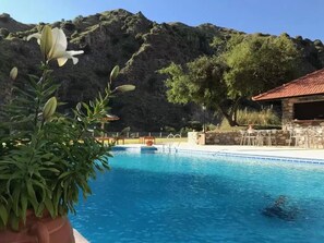 Una piscina con montañas al fondo, rodeada de plantas en macetas y mobiliario de exterior.