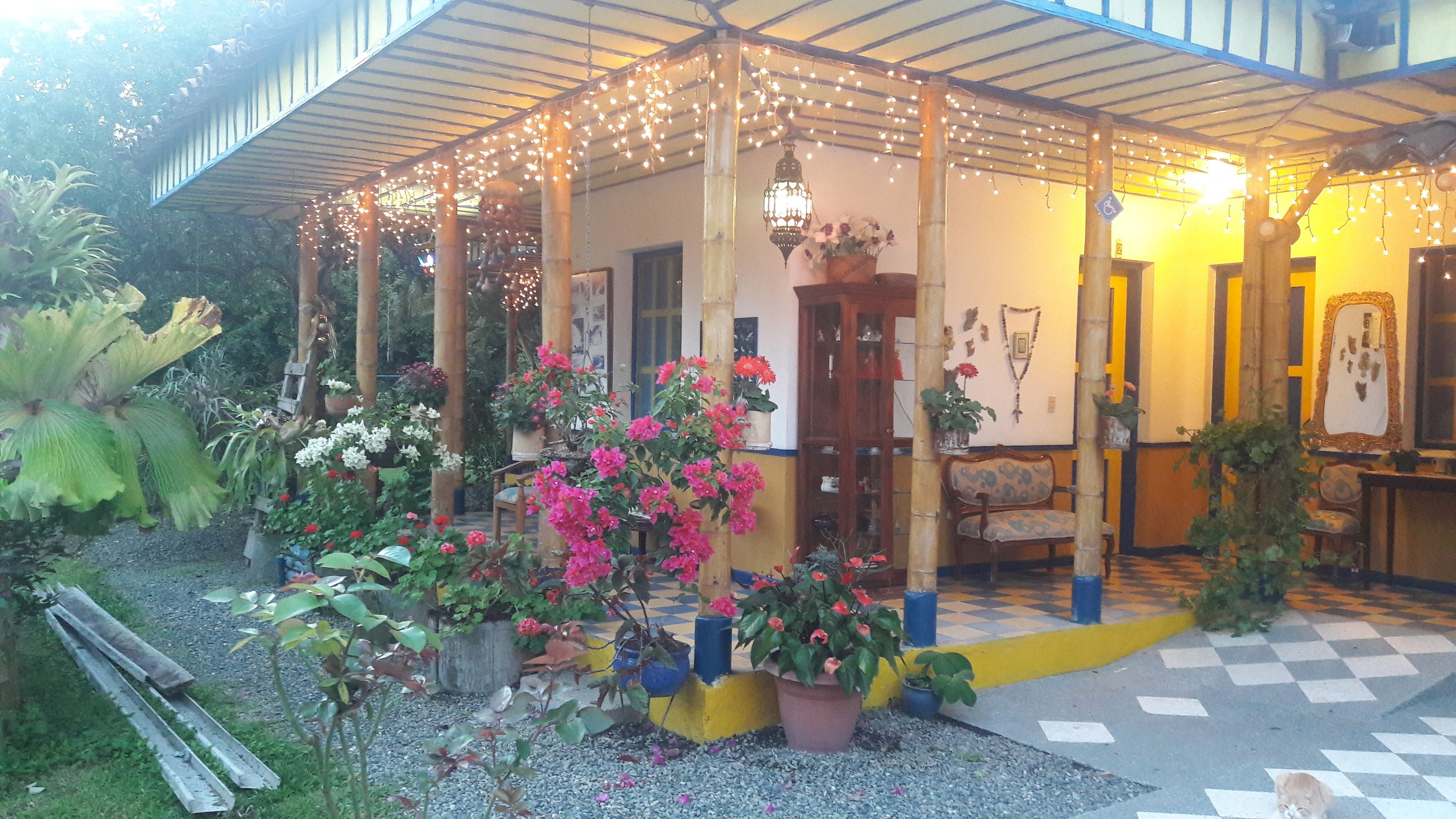 Vue sur la campagne depuis l’hébergement