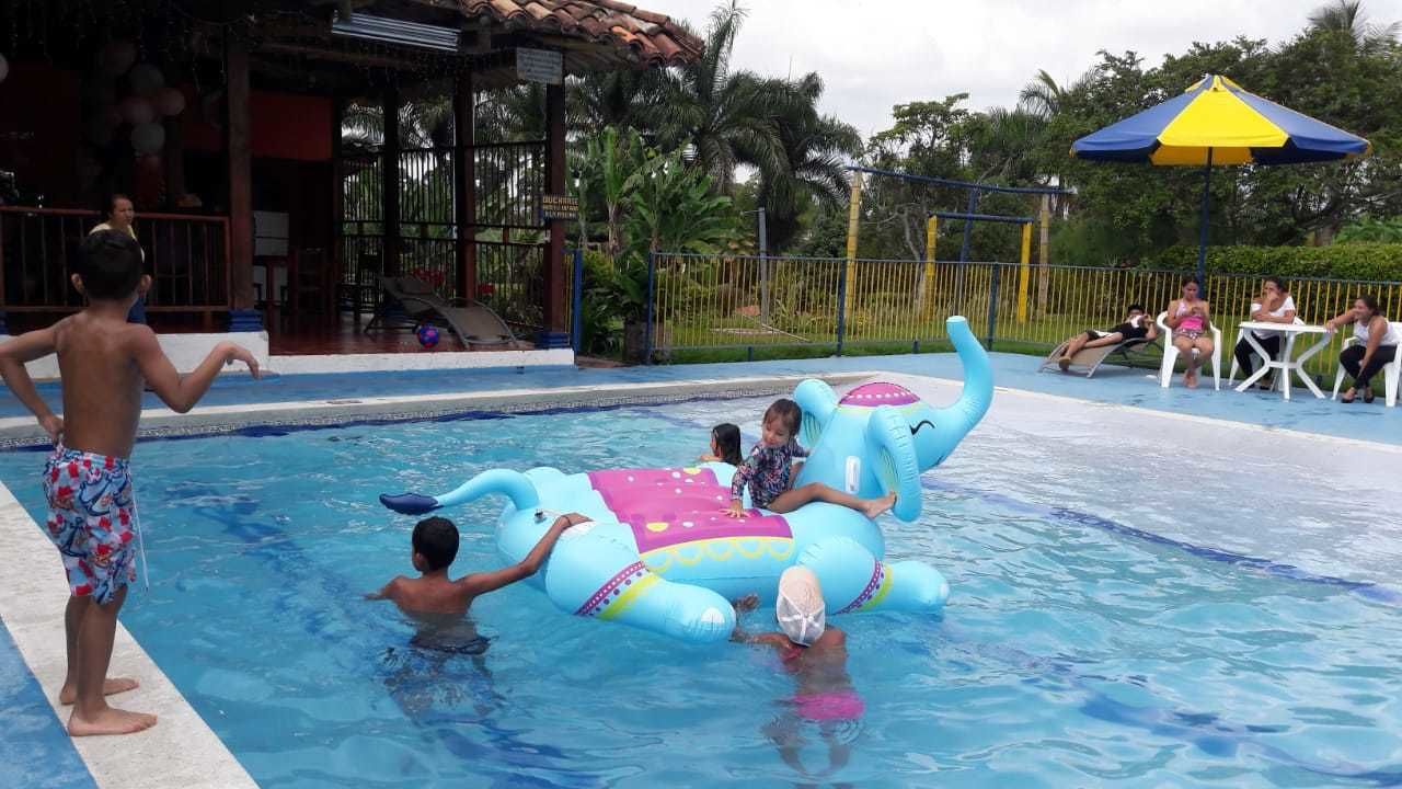 室外游泳池，池畔遮阳伞，日光浴躺椅