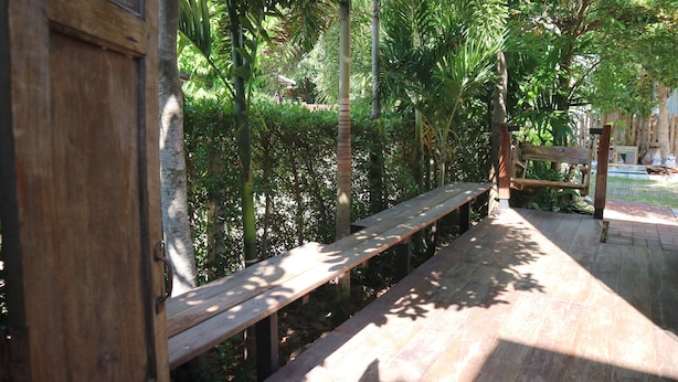 Un banco de madera en un jardín con follaje denso y una estructura de madera al fondo.
