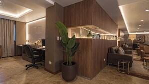 Un moderno vestíbulo de hotel con un mostrador de recepción de madera, una planta grande en maceta y un área de descanso con sofás y una mesa de centro.