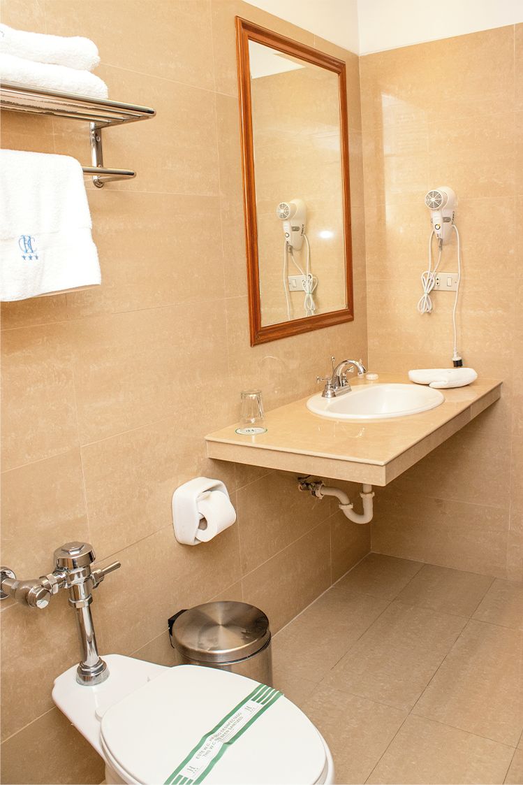 Un baño con lavamanos, espejo, toallero, inodoro y un cubo de basura.