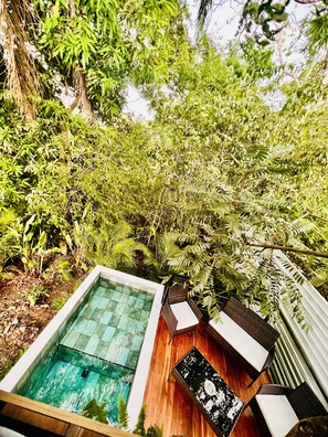 Luxury Studio Suite, 1 Bedroom, Private Pool, Garden View | View from room - Guest House Pura Vida (Quepos)