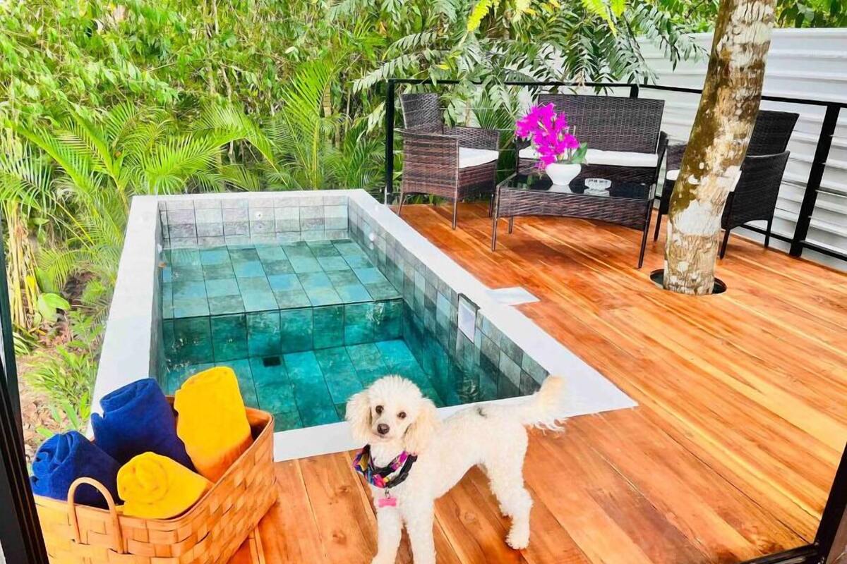 Luxury Studio Suite, 1 Bedroom, Private Pool, Garden View | WiFi (free), bed sheets